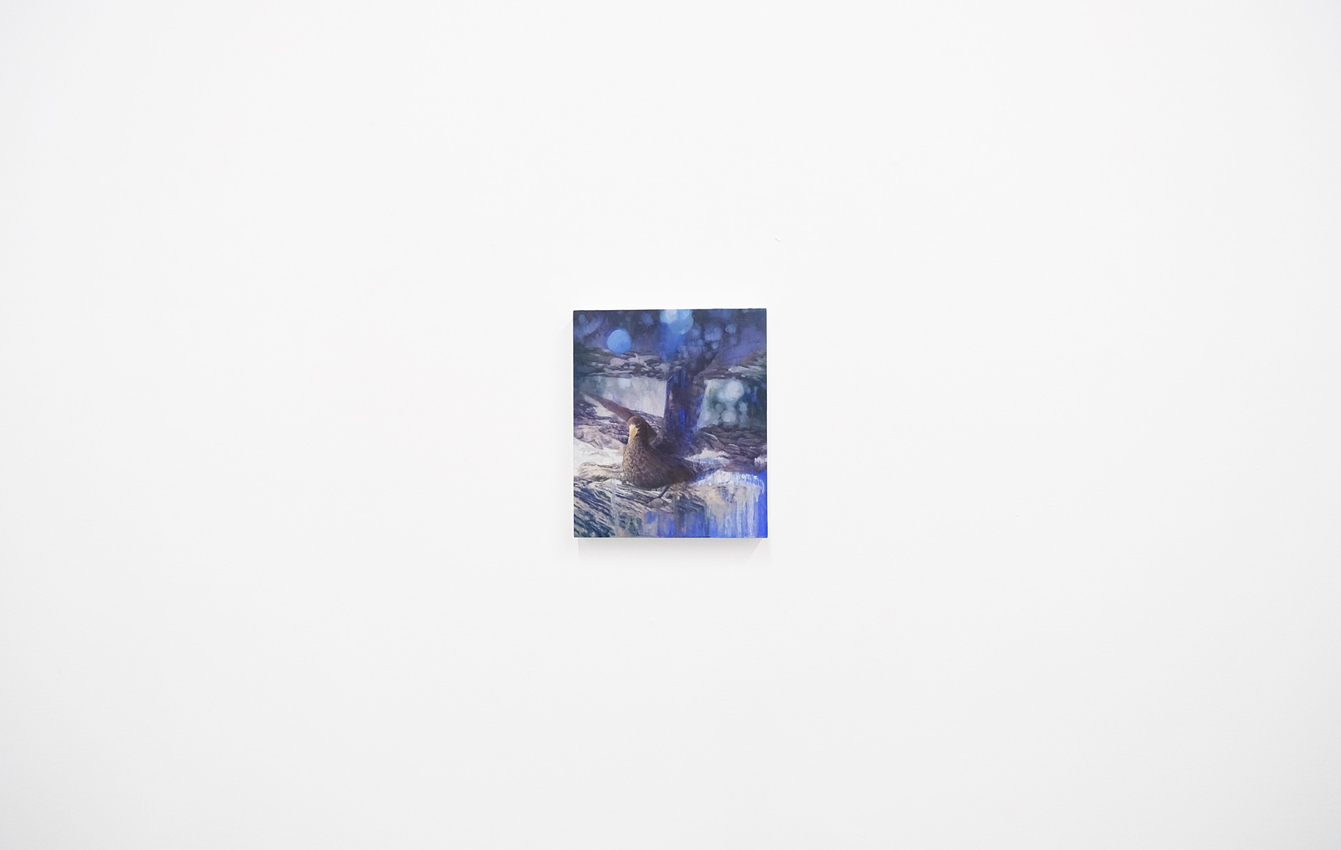 Install Shot Polar front, Kyneton Stockroom 2023