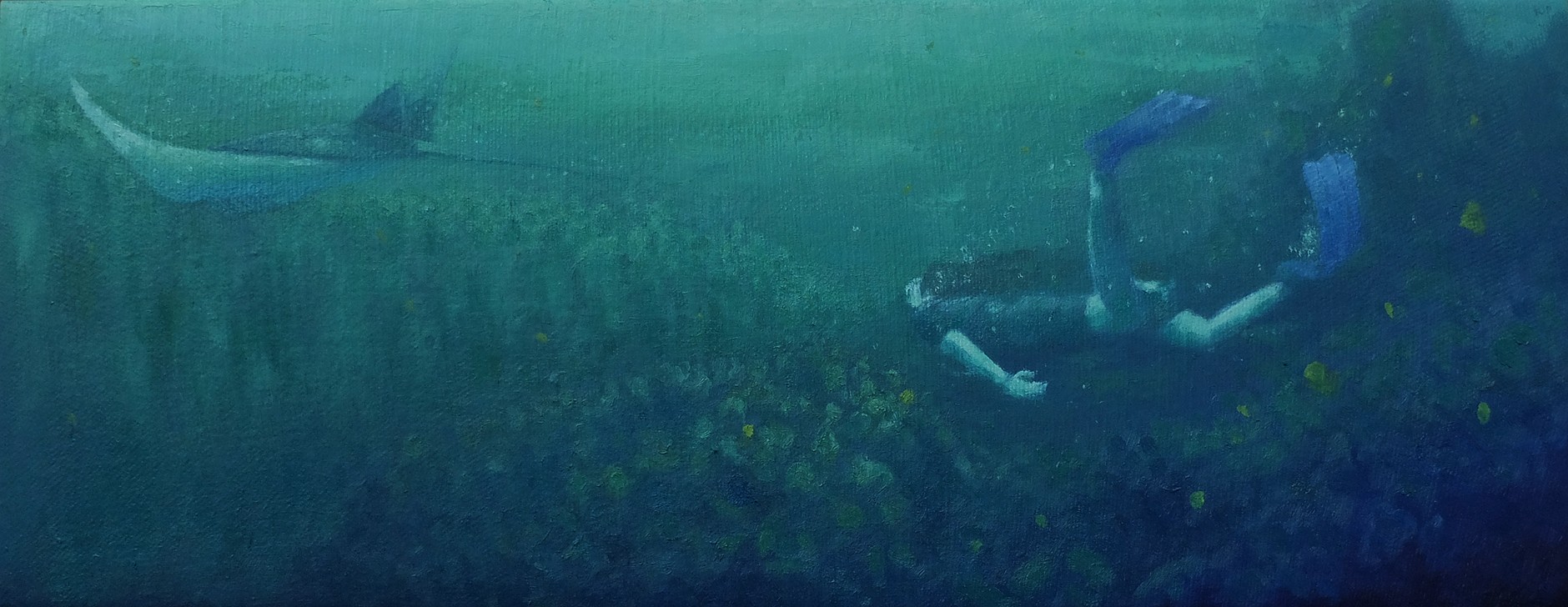 Aliens Can Swim 2022